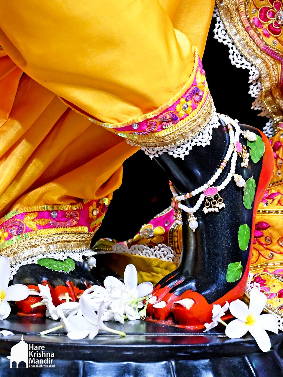 2026-06-19 Darshan